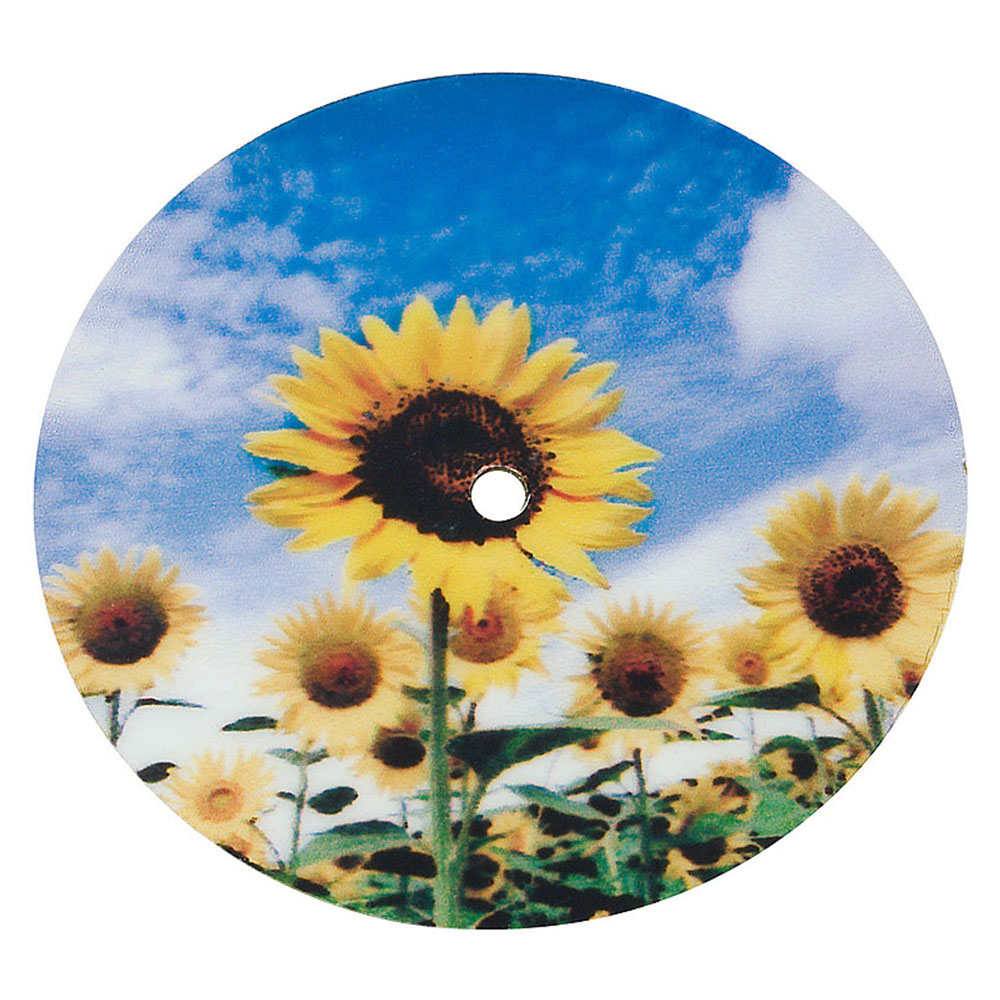 Offset Photo Paper Dial